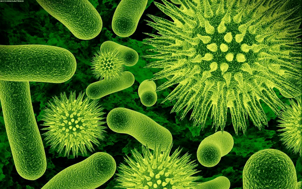 jak se bakterie dostávají do těla