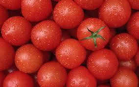 rajčata pro potenci